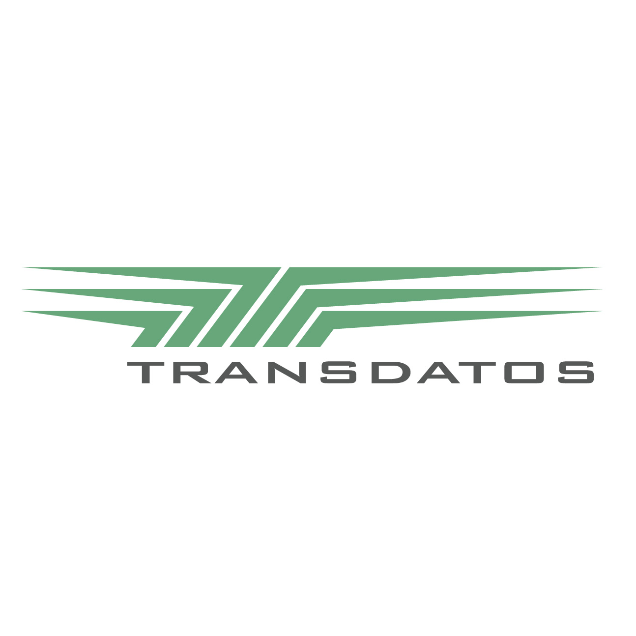 Logo Transdatos-01