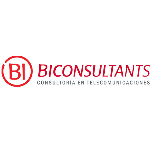 bi-consultants