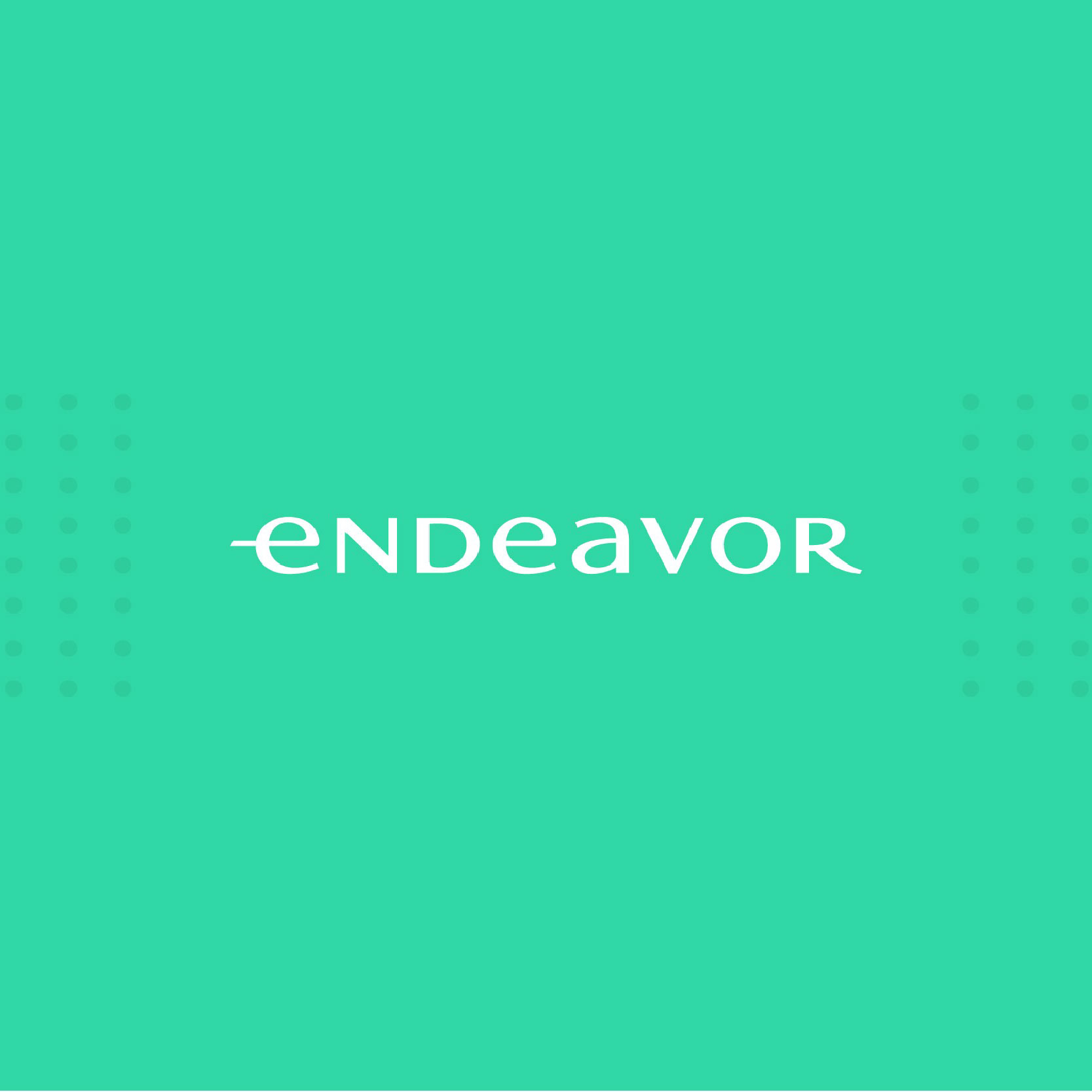 5 - endeavor
