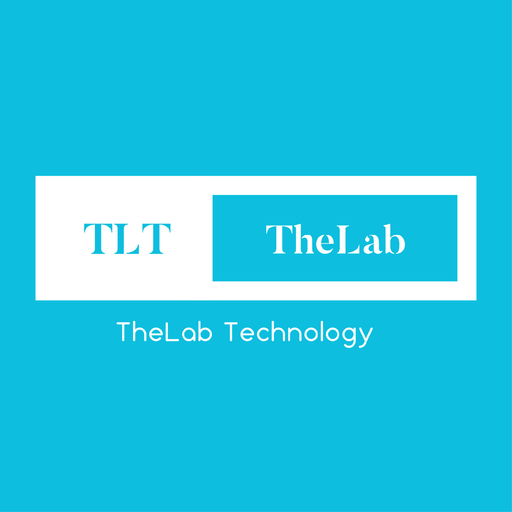 the lab_Mesa de trabajo 1