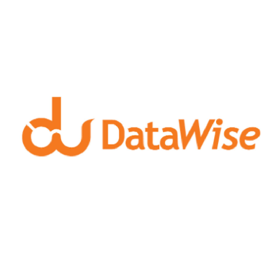datawise_Mesa de trabajo 1